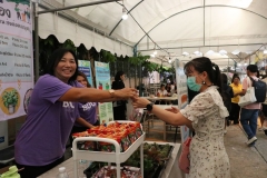 20241125-80D-recycle-21