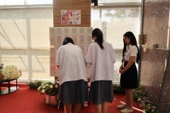 20250213-valentine-40