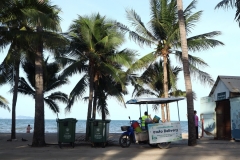  Garbage collection 2024_03