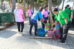  Garbage collection 2024_66