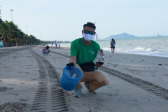  Garbage collection 2024_21