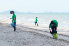  Garbage collection 2024_26