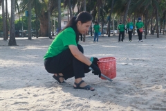  Garbage collection 2024_29