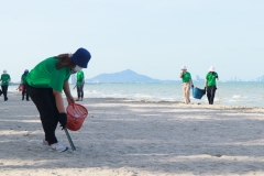  Garbage collection 2024_30