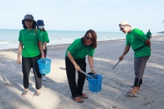  Garbage collection 2024_36