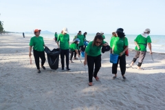  Garbage collection 2024_37