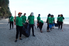  Garbage collection 2024_41