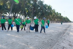  Garbage collection 2024_42