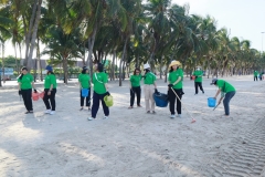  Garbage collection 2024_43