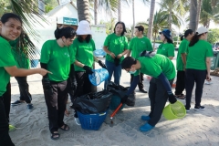  Garbage collection 2024_57