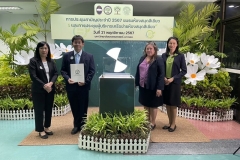 20241121-green-library-06