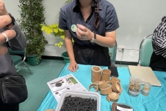 20241121-green-library-17