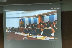 20241121-green-library-27