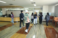 25670426-visitor-029