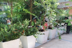 bigcleaning02-06-66-23