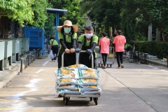 bigcleaning02-06-66-29