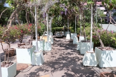 bigcleaning02-06-66-51