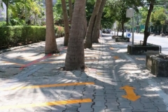 bigcleaning02-06-66-62