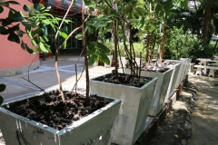 bigcleaning02-06-66-73