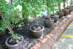 bigcleaning02-06-66-75