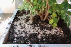 bigcleaning02-06-66-76