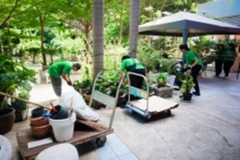 ภาพบรรยากาศกิจกรรม big-clean