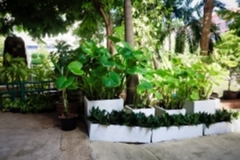 ภาพบรรยากาศกิจกรรม big-clean