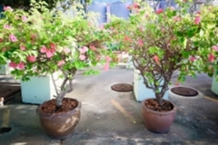 ภาพบรรยากาศกิจกรรม big-clean