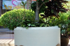 64980701_2240358256083020_5882210900194099200_n