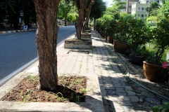 65016988_2240355962749916_3930883927635394560_o