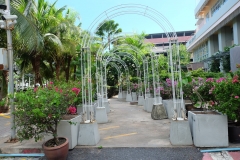 65249301_2240359916082854_7311571016960966656_o