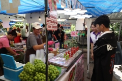 25661220-bookfair2024-008