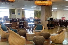 52436970_155106928706778_4235365321868836864_n (1)