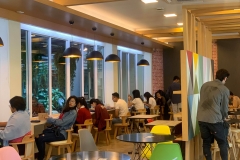 52800528_1249906291852514_8942647253491777536_n