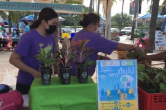 environmental-management-8