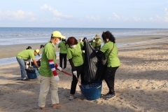 thumbs_25650614-Green-Library-0041