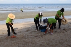 thumbs_25650614-Green-Library-0046