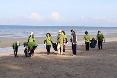 thumbs_25650614-Green-Library-0050