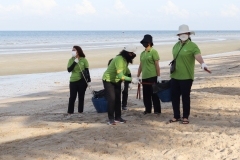 thumbs_25650614-Green-Library-0063