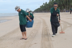 garbage-collection-66-20