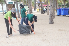 garbage-collection-66-25