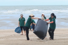 garbage-collection-66-29