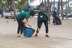 garbage-collection-66-31