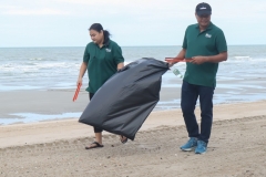 garbage-collection-66-35