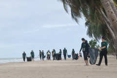 garbage-collection-66-62