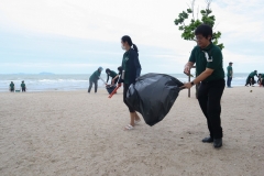 garbage-collection-66-8