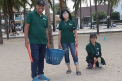 garbage-collection-66-80