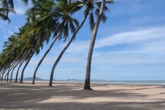 garbage-collection-66-92