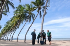 garbage-collection-66-93