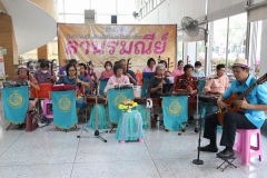 25670319-rommanee-001